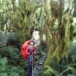 Susan Lien - @susan_lien - Instagram