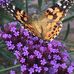 Susan Linderman - Facebook