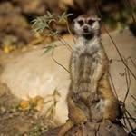 Susan Linderman - @lindermansusan - Instagram