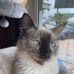 Susan Linderman - Facebook