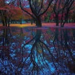 Susan Linnell - Facebook
