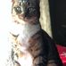 Susan Lint - Facebook