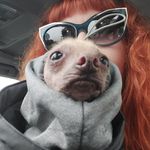 Susan Linton - @linton_susan - Instagram