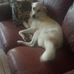 Susan Littrell - Facebook