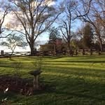 Susan Lockridge Canipe - @lockridgecanipe - Instagram