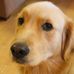 Susan Loe - Facebook