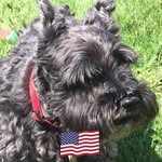 Susan Loeffler - @sloeff123 - Instagram