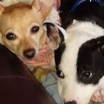 Susan Loeffler Reeder - @loefflerreeder - Instagram