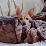 Susan R Loeffler Reeder - @susanrloeffler - Instagram