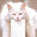 Susan Lorimer - Facebook
