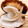 Susan Lowery - @obx4life356 - TikTok