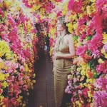 Susan K Lozinski - @susank_loz23 - Instagram