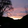 susanaluft - @susanaluft - TikTok