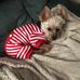Susan Luster - Facebook