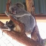Susan Lyden - @susan.lyden.984 - Instagram