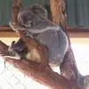 Susan Lyden - @susanlyden54 - TikTok