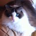 Susan Lydon - Facebook