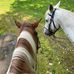 Liza Sue Lynaugh - Facebook