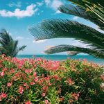 Susan Mabe - @madremabe - Instagram