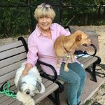Susan Macbeth - @bonjoursue - Instagram