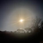 Susan MacDougall - @astrologyanthropology - Instagram
