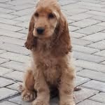 Susan MacFarlane - @susan.macfarlane.7543 - Instagram