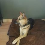 Susan Macfarlane - @susan.macfarlane.50 - Instagram