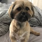 Susan Macfarlane - @tia042125 - Instagram