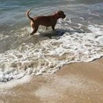 Sue Machen - @susan_machen - Instagram