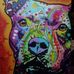 Susan Maclachlan - Facebook