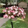 gran maSusan Mailloux - @gran.masusan.mail - TikTok