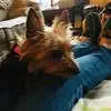 Susan Mailloux - @susanmailloux1 - TikTok