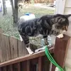 Susan Maire - @susan.maire7 - TikTok