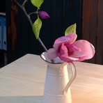 Susan Malan - Facebook