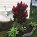 Susan Mallery - Facebook