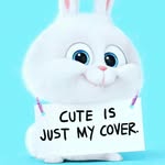 susan mallery - @mallery.susan - Instagram