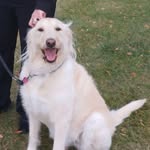 Susan Mallory - @susan.mallory.31 - Instagram