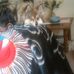 Susan Maly - Facebook