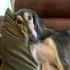 susannebeckmancha - @susannebeckmancha - TikTok
