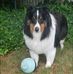Sue Mankowski - Facebook