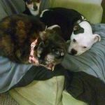 Susan A. Mankowski - @susanmankowski - Instagram