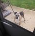Sue Manns - Facebook
