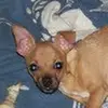 Susan Maples675 - @susanmaples123 - TikTok