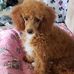 Susan Maples - Facebook