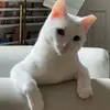 Susan - @susanmar77 - TikTok