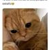 Susan G Marcin - Facebook