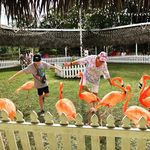 Susan Marcin - @susanmmarcin - Instagram