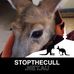 Susan Marcin - Facebook