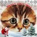 Susan Marcin - Facebook