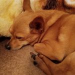 Susan Marini - @its_sue1969_ - Instagram